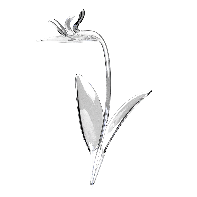 Цветок райской птицы