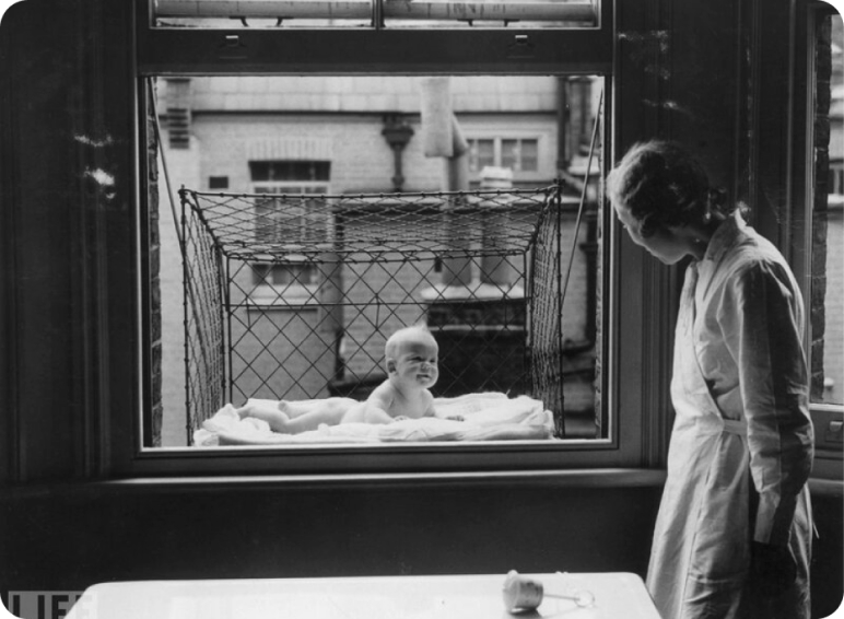 клетки для детки